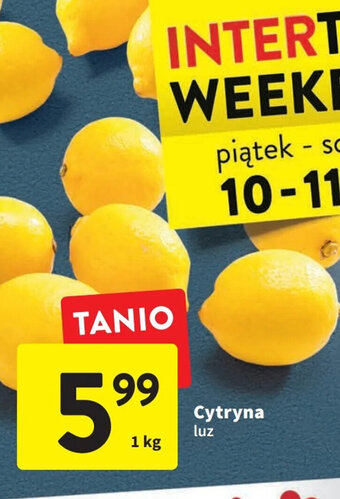 Intermarche Cytryna luz 1kg oferta