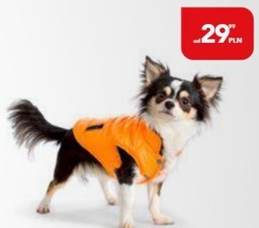 AquaelZOO Kurtka dla psa comfy oferta