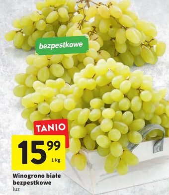 Intermarche Winogrono białe bezpestkowe 1kg oferta