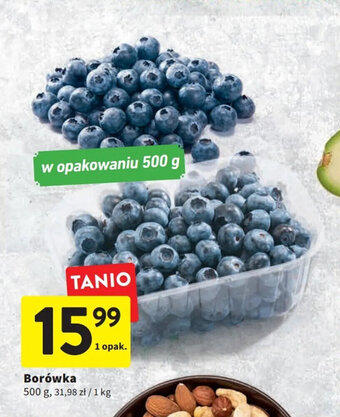 Intermarche Borówka 500g oferta