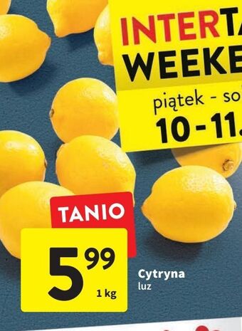 Intermarche Cytryny oferta