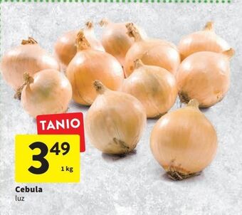 Intermarche Cebula oferta