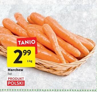 Intermarche Marchew oferta