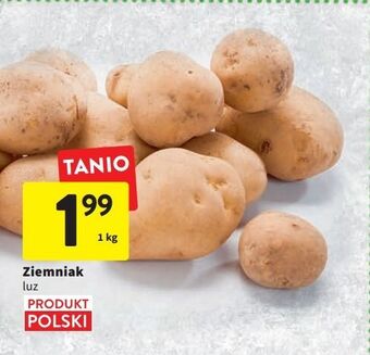 Intermarche Ziemniaki oferta