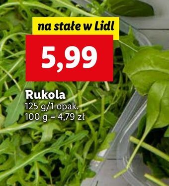 Lidl Rukola oferta