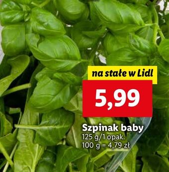 Lidl Szpinak baby oferta
