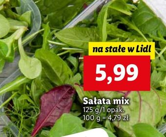 Lidl Sałata mix oferta