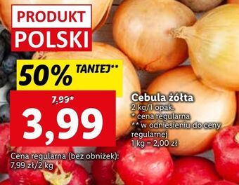 Lidl Cebula żółta oferta