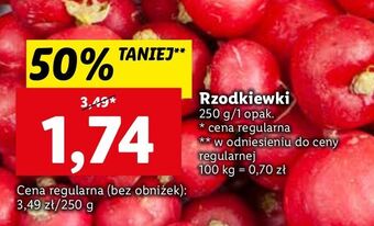 Lidl Rzodkiewka oferta
