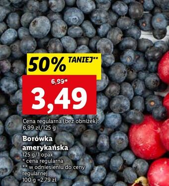 Lidl Borówka amerykańska oferta