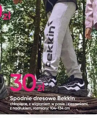 Pepco Spodnie dresowe chłopięce 104-134 cm bekkin oferta