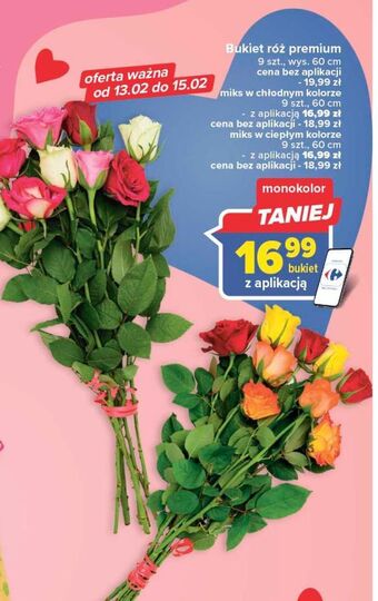 Carrefour Róża premium oferta