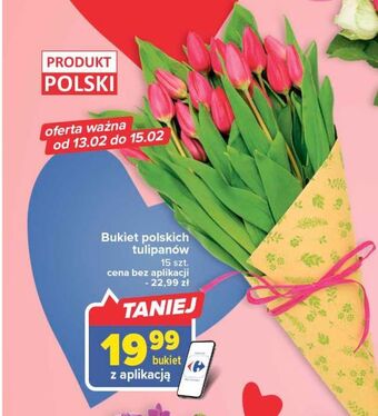 Carrefour Tulipany oferta