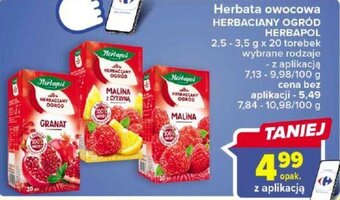 Carrefour Herbapol Herbata owocowa Herbaciany Ogród 2,5 - 3,5g x 20 torebek oferta