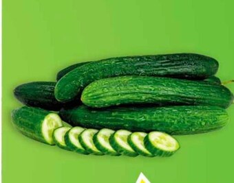 Carrefour Ogórek oferta