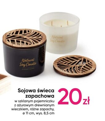 Pepco Świeca zapachowa oferta