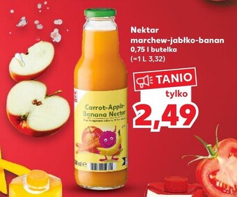 Kaufland Nektar oferta