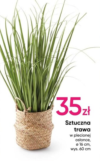 Pepco Sztuczna roślina oferta