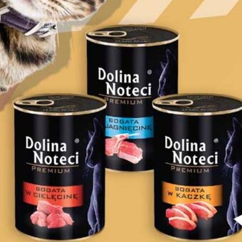 Karma dla kota dolina noteci