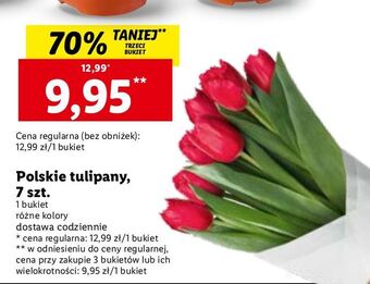 Lidl Tulipany oferta