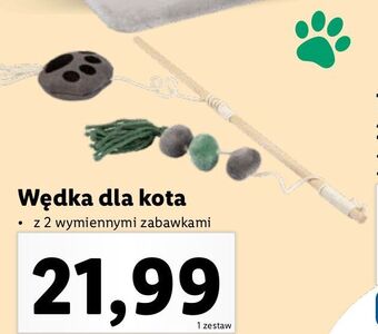 Lidl Wędka dla kota oferta