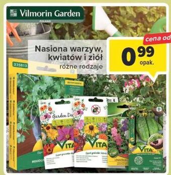 Carrefour Ogórek vilmorin garden oferta