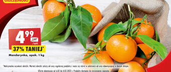Biedronka Mandarynka 1kg oferta