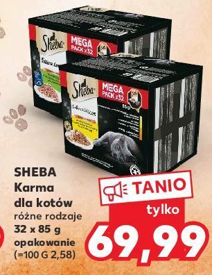 Kaufland Karma dla kota z kurczakiem sheba oferta