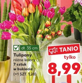 Kaufland Tulipany oferta