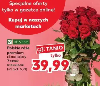 Kaufland Róża premium oferta