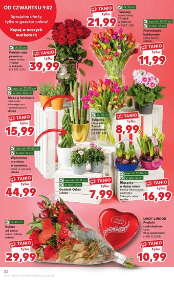 Kaufland Tulipany 35 cm oferta
