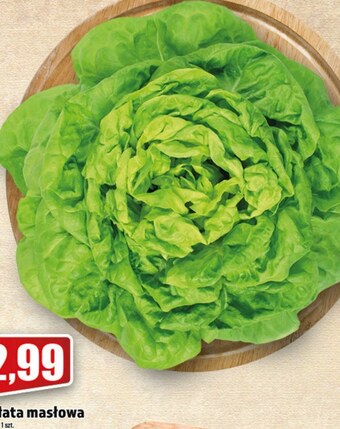 Topaz Sałata masłowa oferta