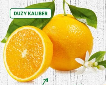 Auchan Pomarańcza oferta