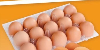 Gram Market Jaja oferta
