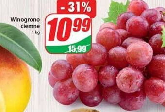 Dino Winogrona ciemne oferta