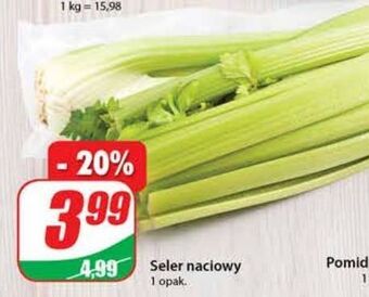 Dino Seler naciowy oferta