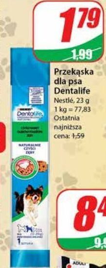 Dino Przekąska dla psa purina dentalife oferta