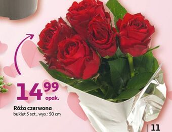 Auchan Róże czerwone 50 cm oferta