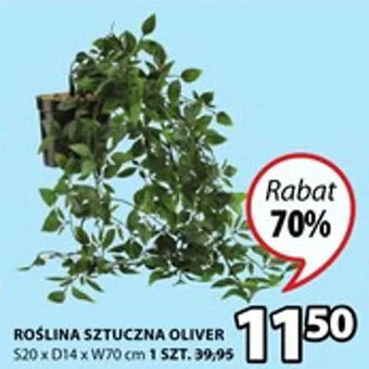 JYSK Roślina sztuczna Oliver S20xD14xW70cm oferta