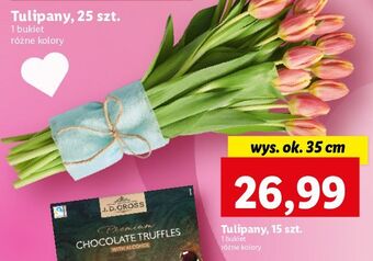 Lidl Tulipany 35 cm oferta