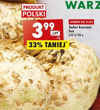 Biedronka Seler oferta
