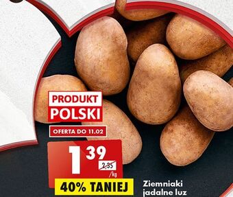 Biedronka Ziemniaki jadalne oferta