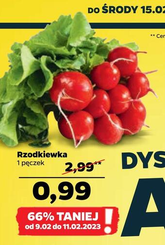 Netto Rzodkiewka oferta