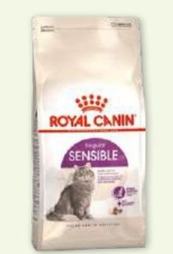 Maxi Zoo Karma dla kota royal canin oferta