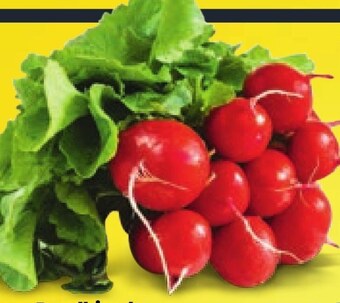 Netto Rzodkiewki oferta