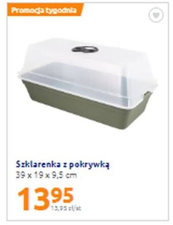 Action Szklarenka z pokrywką 39x19x9,5cm oferta