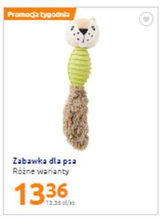 Action Zabawka dla psa oferta