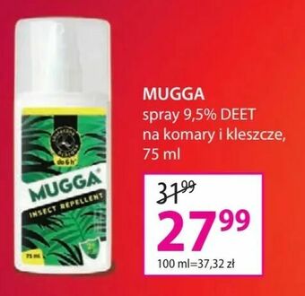 Hebe Mugga oferta