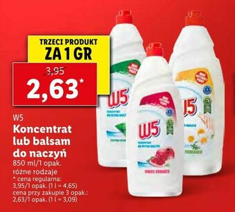 Lidl Koncentrat lub balsam do naczyń oferta