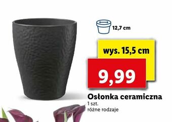 Lidl Osłonka ceramiczna oferta
